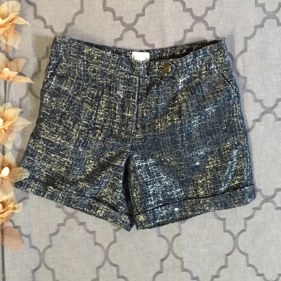 Anthropologie Pants - Shimmering Summer Coquille Shorts